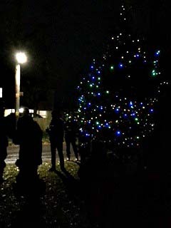 Tree Lighting 3