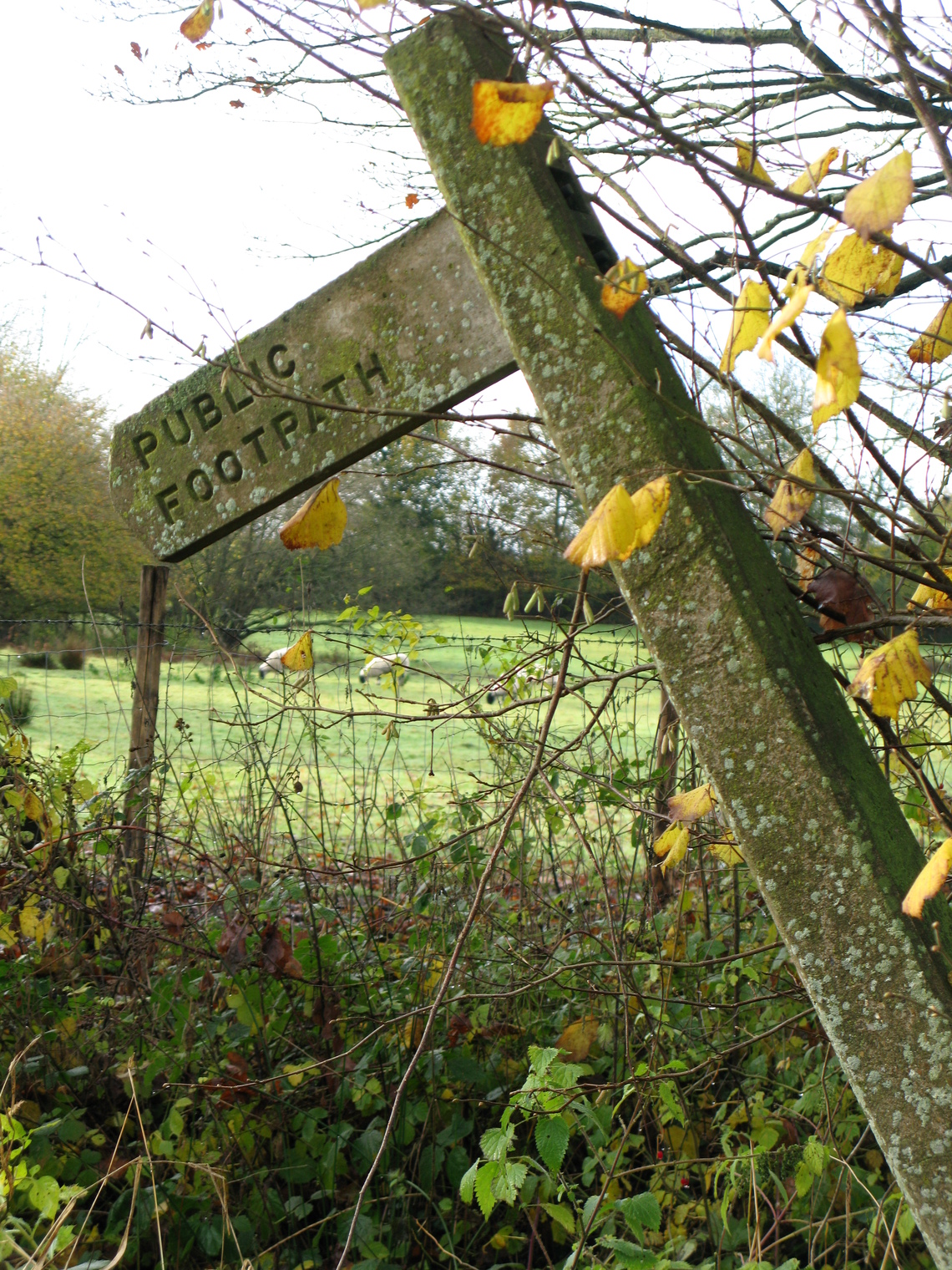 footpath sign